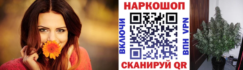Где найти наркотики Чайковский Конопля  А ПВП  ГАШ  Мефедрон  COCAIN 