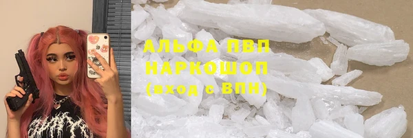 стаф Алзамай