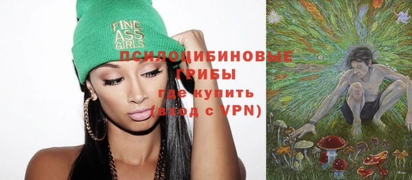 стаф Алзамай