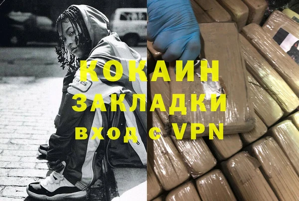 стаф Алзамай