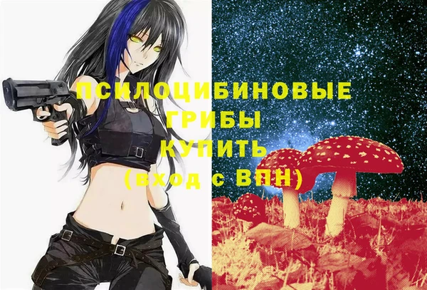 стаф Алзамай